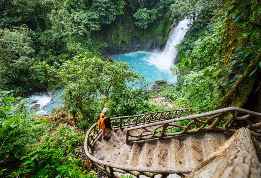 Highlights Puur Costa Rica Superior – Costa Rica