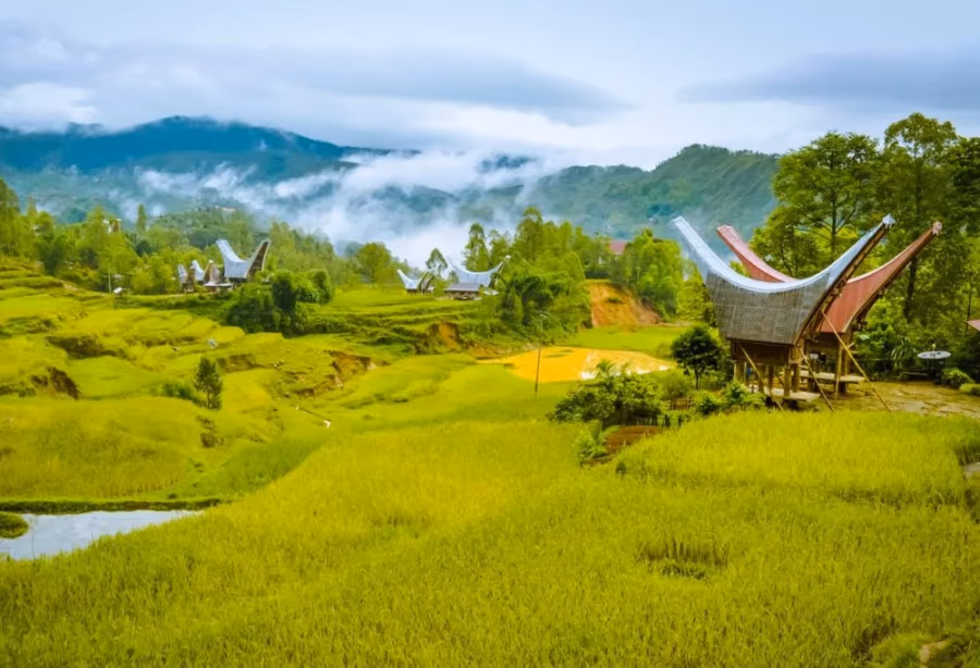 Highlights Sulawesi en Bali – Indonesië