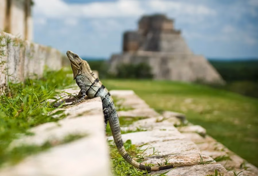 Highlights Yucatán & Chiapas – Mexico