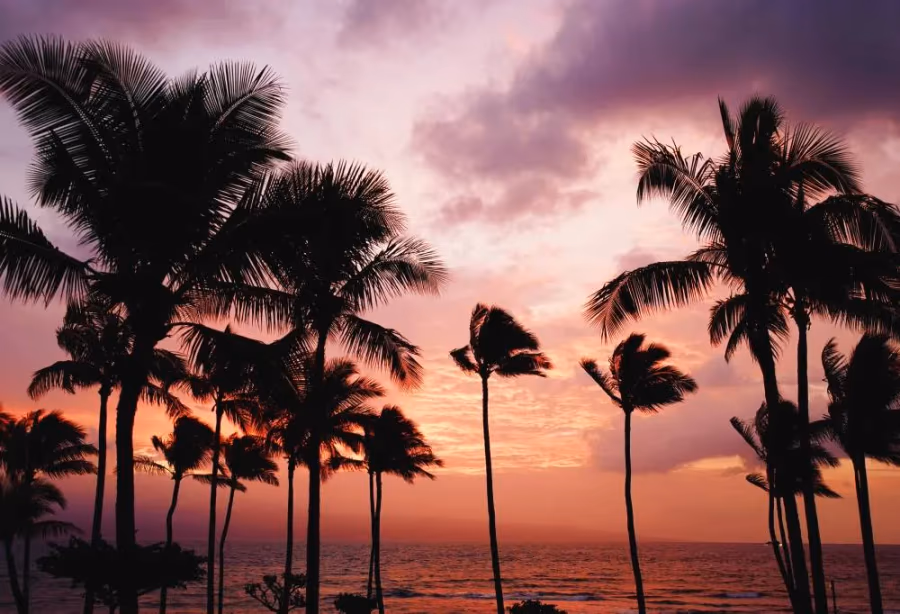 Islandhopping Hawaii Oahu & Maui – Amerika