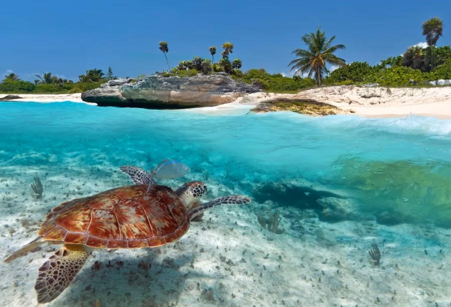 Islandhopping met een Caribisch tintje – Mexico