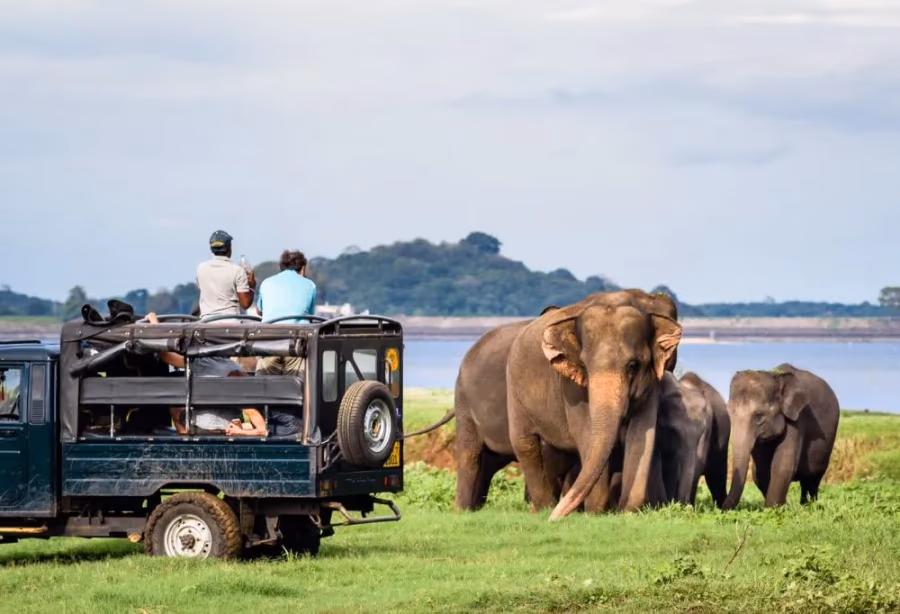 Jeepsafari Yala National Park – Sri Lanka