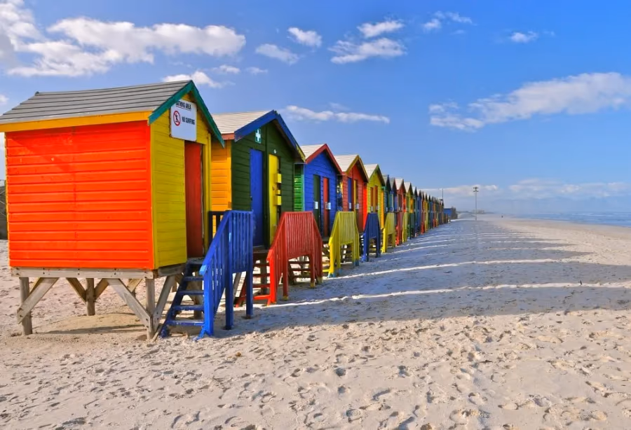 Kaapstad, Olifanten en Wijnregio Deluxe – Zuid Afrika
