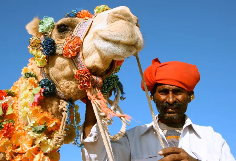 Kamelenfestival Pushkar – India