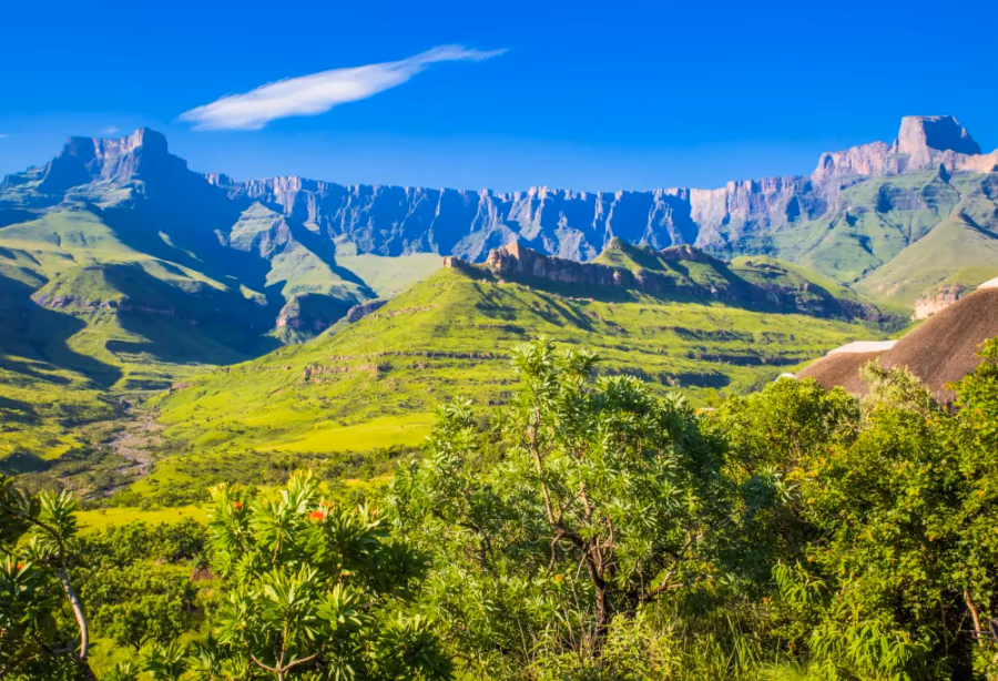 Leeuwen en Zuid-Afrikaanse Magie – Zuid Afrika