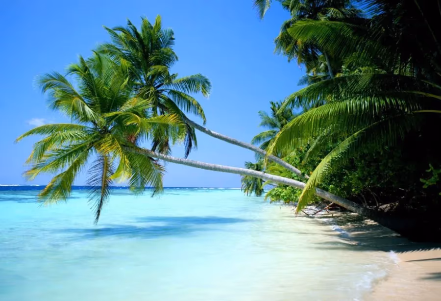Magisch Molukken & Bali – Indonesië