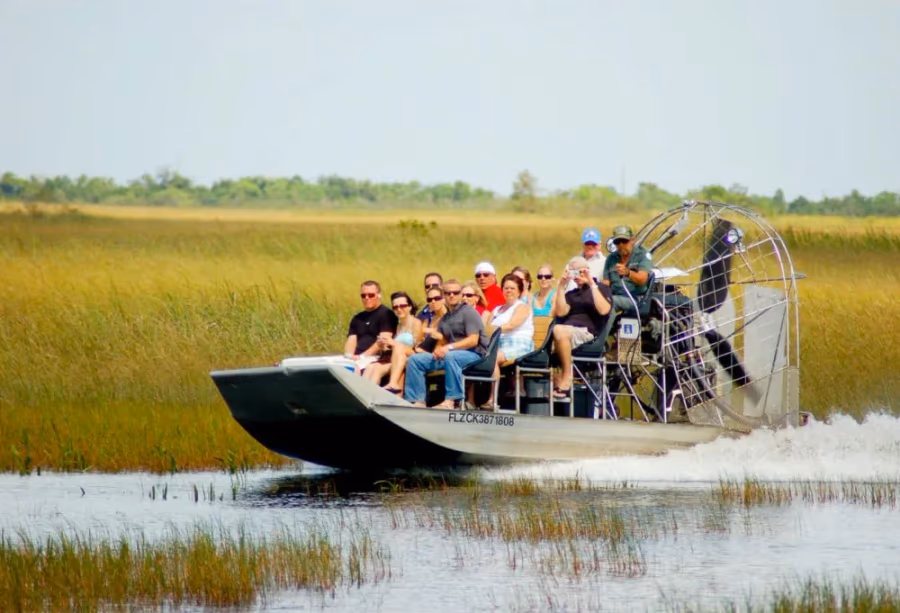 Natuurschoon & wildlife van Florida – Amerika