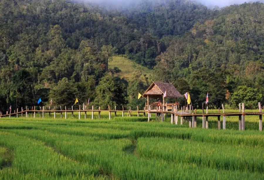 Noordelijke charme en historische schatten – Thailand