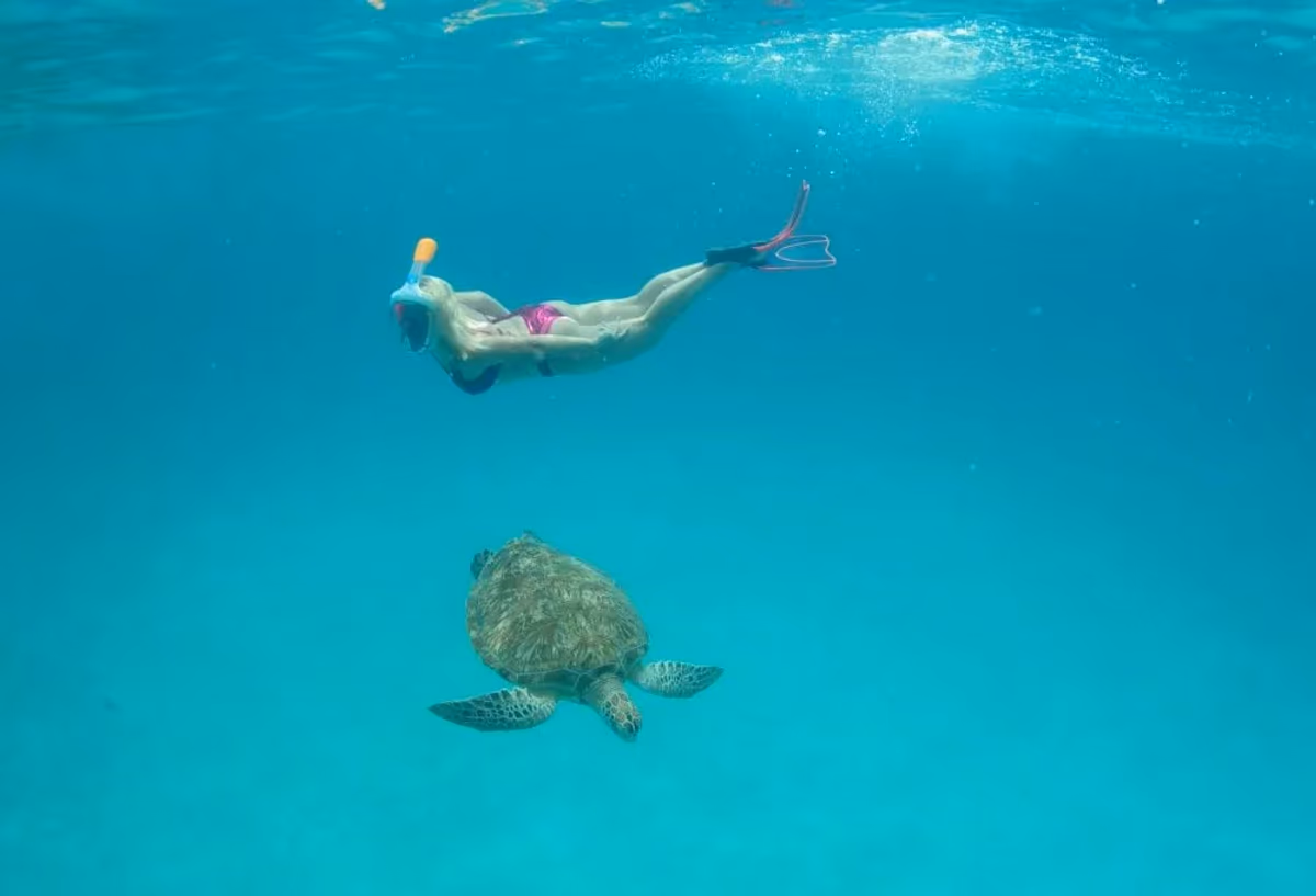 Redang: Snorkelparadijs van Maleisie