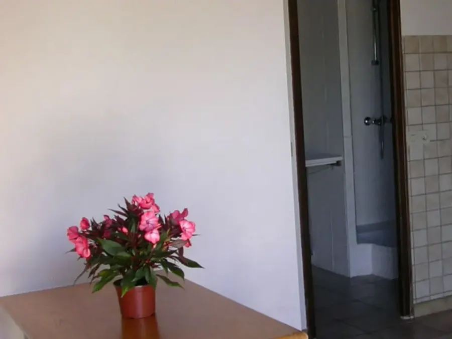 Résidence Les Alizés – FRANKRIJK – foto 5
