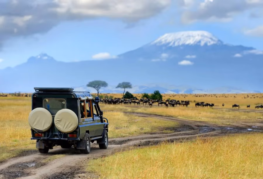 Safari Discover Kenia – Kenia