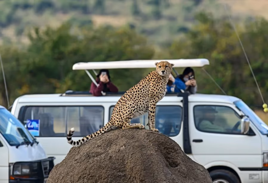 Safari Kenia Highlights Deluxe – Kenia