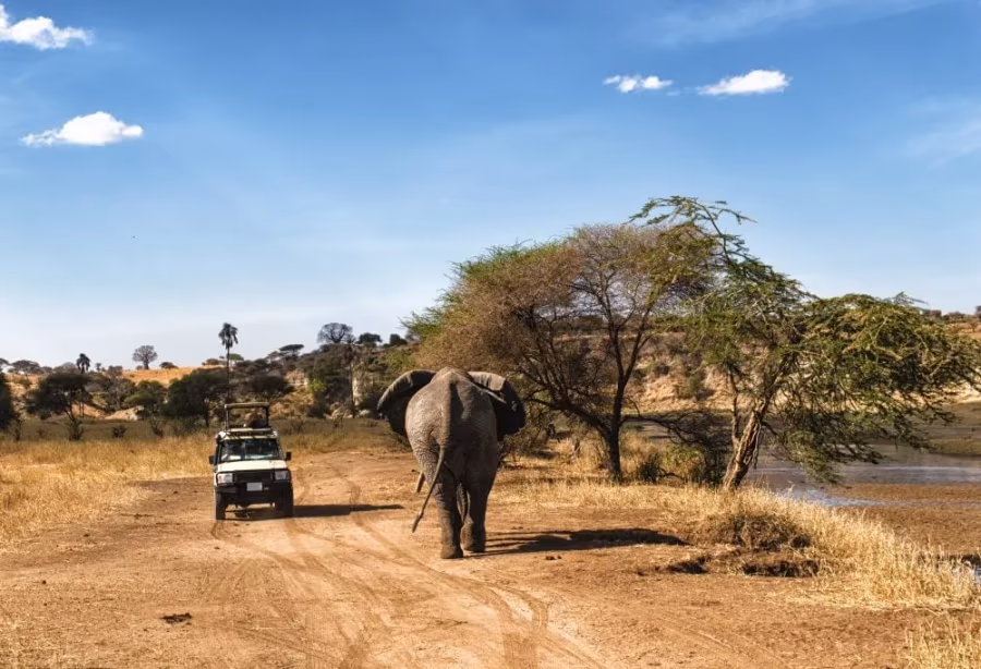 Safari Tanzania Highlights Deluxe – Tanzania