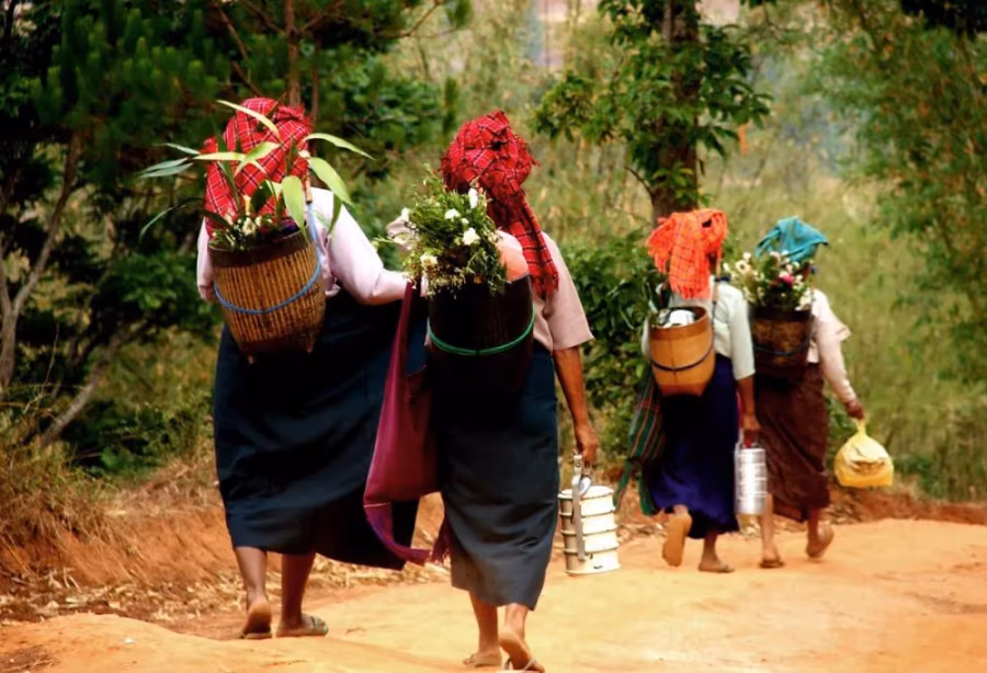 Trekking in Kalaw – Myanmar