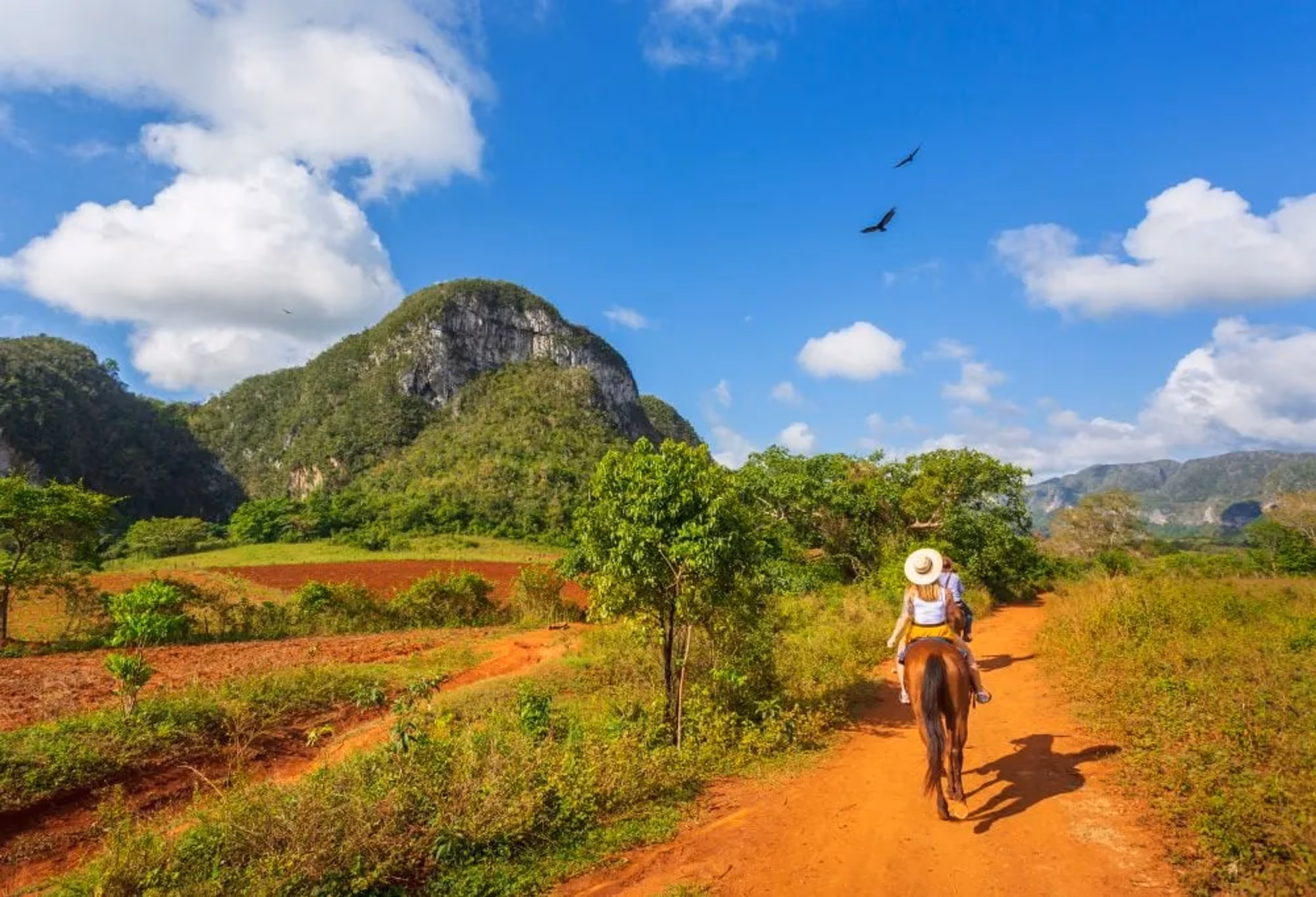 Viñales te paard – vakantie Cuba