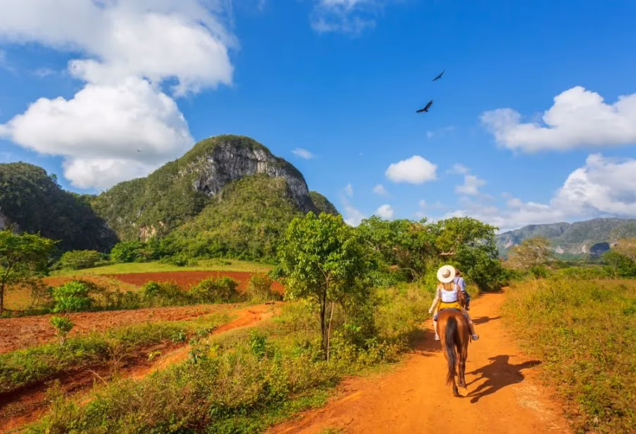 Viñales te paard – Cuba