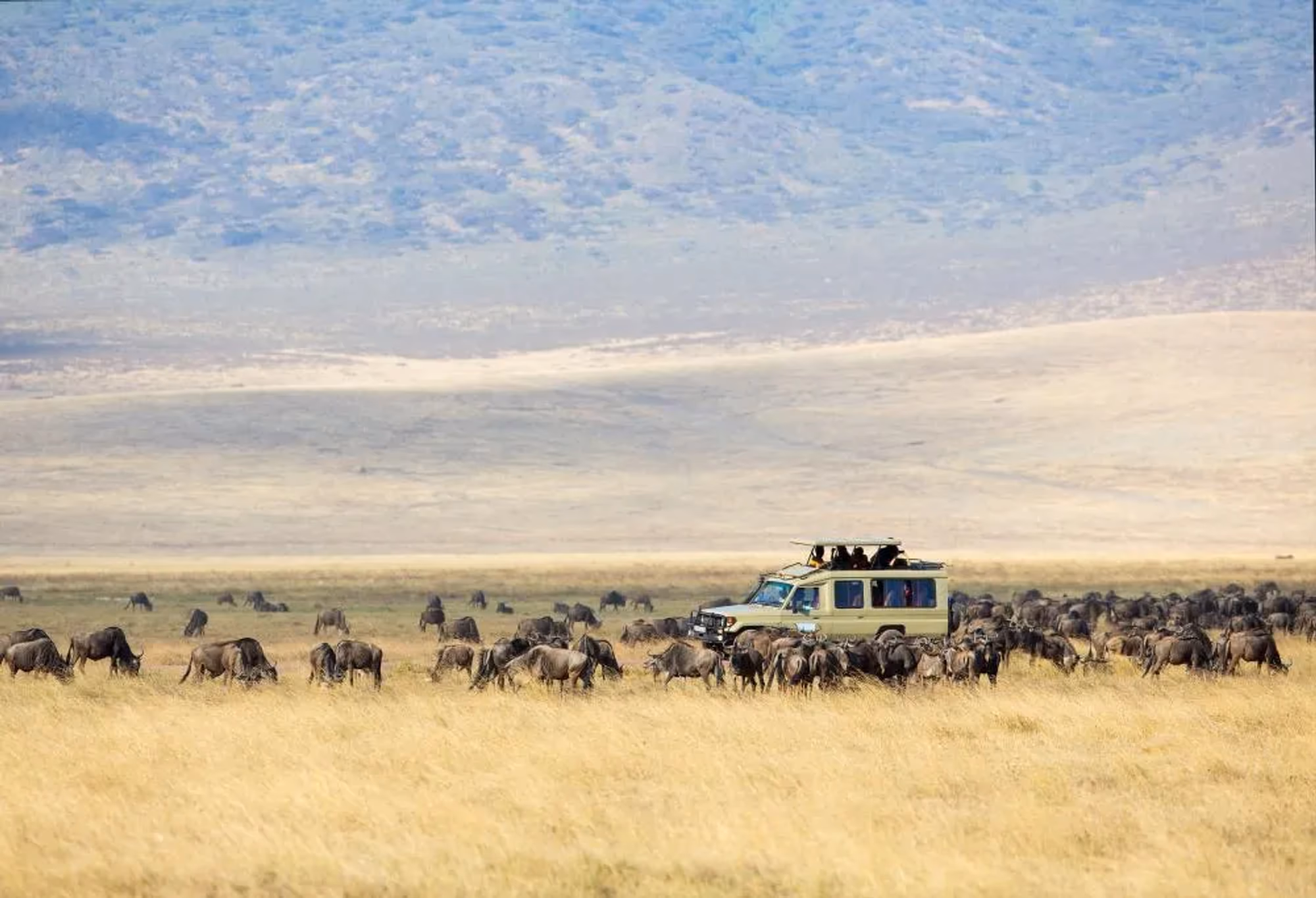 Wildlife Experience Kenia & Tanzania – vakantie Kenia