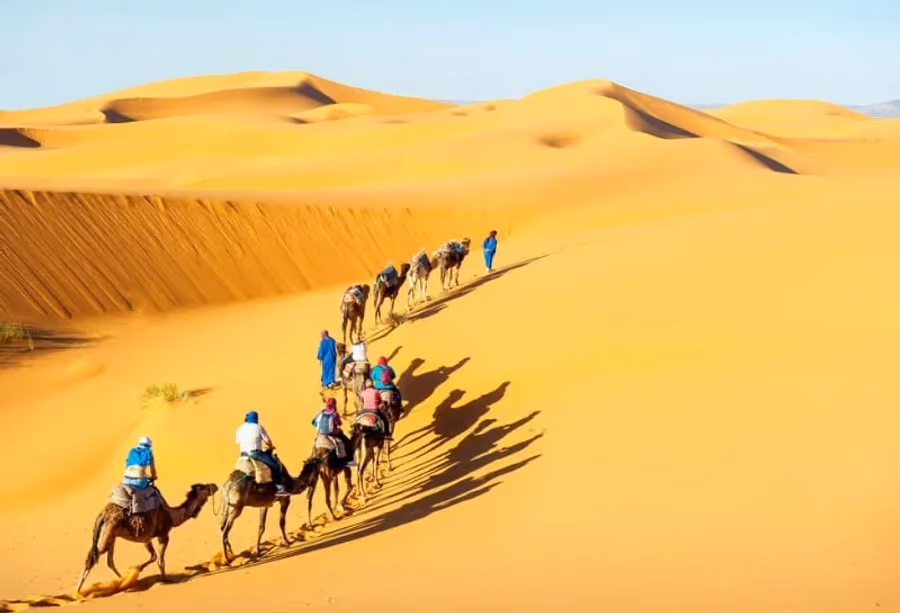 Woestijnsafari in Jaisalmer – India