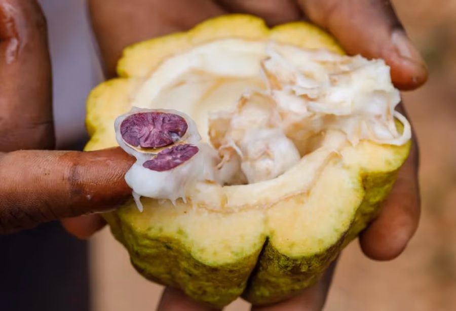 Zanzibar voor alle zintuigen – Tanzania